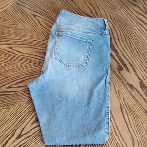 Torrid Denim Jeggings